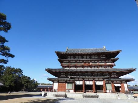 薬師寺 薬師寺の写真
