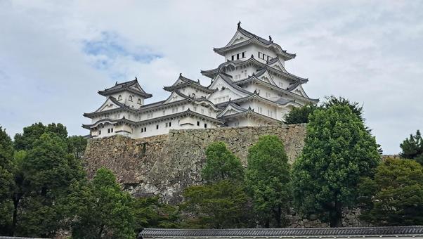 姫路城 姫路城,白鷺城,国宝の写真素材