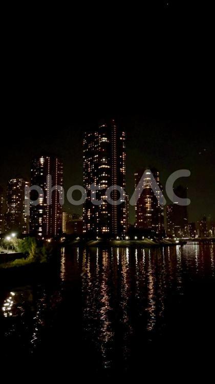 夜の越中島公園とビル群 夜景,ビル群,隅田川の写真素材