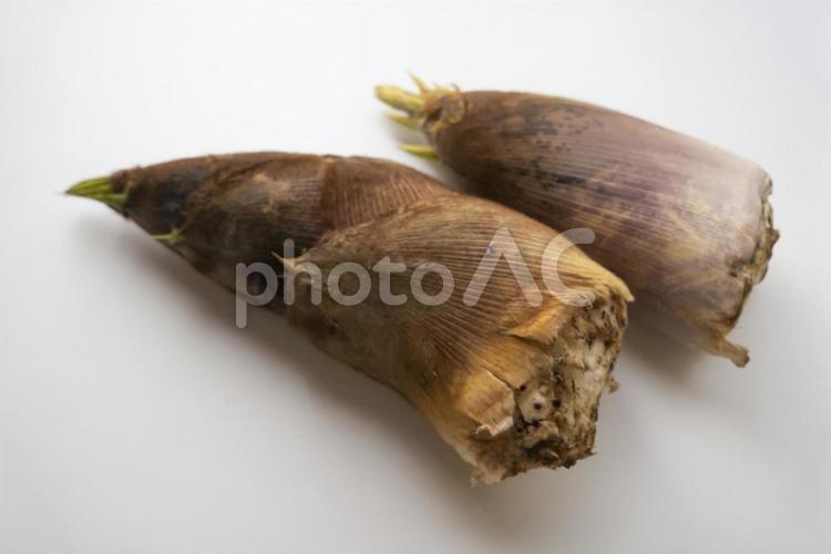 土のついたたけのこ タケノコ,食材,筍の写真素材
