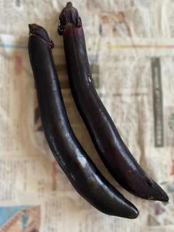 Photo, eggplant, summer, vegetables, 