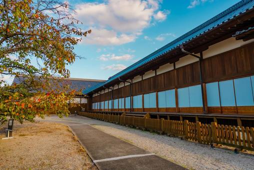 【佐賀】佐賀城跡の周辺 佐賀,城跡,城の写真素材