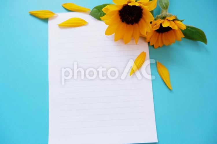 ひまわりの花とメッセージカード、夏のグリーティング ひまわり,花,黄色の写真素材