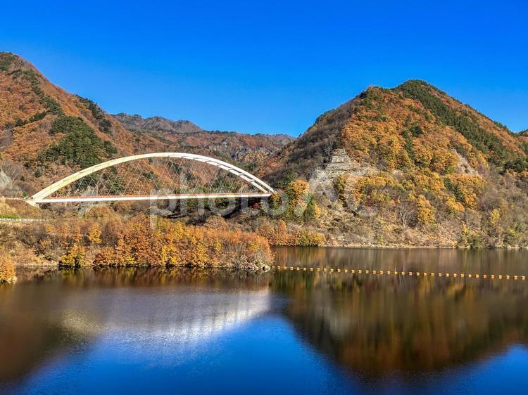 秋のみずがき湖と鹿鳴峡大橋 紅葉,みずがき湖,秋の写真素材