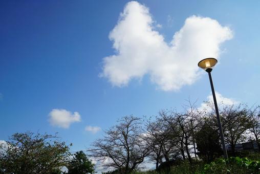 晴れた日の空 空,晴れ,天気の写真素材