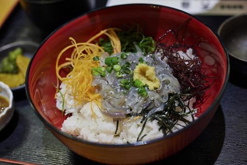 生シラス丼 生シラス丼,シラス,生しらす丼の写真素材