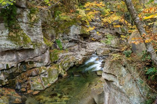 秋の磊々峡(30) 秋,紅葉,磊々峡の写真素材