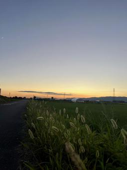 夏の夕暮れ 夏の夕暮れ 夕焼け,田舎,夕暮れの写真素材