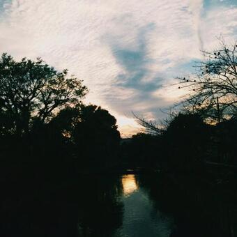 evening, wood, chuan, reflection, JPG