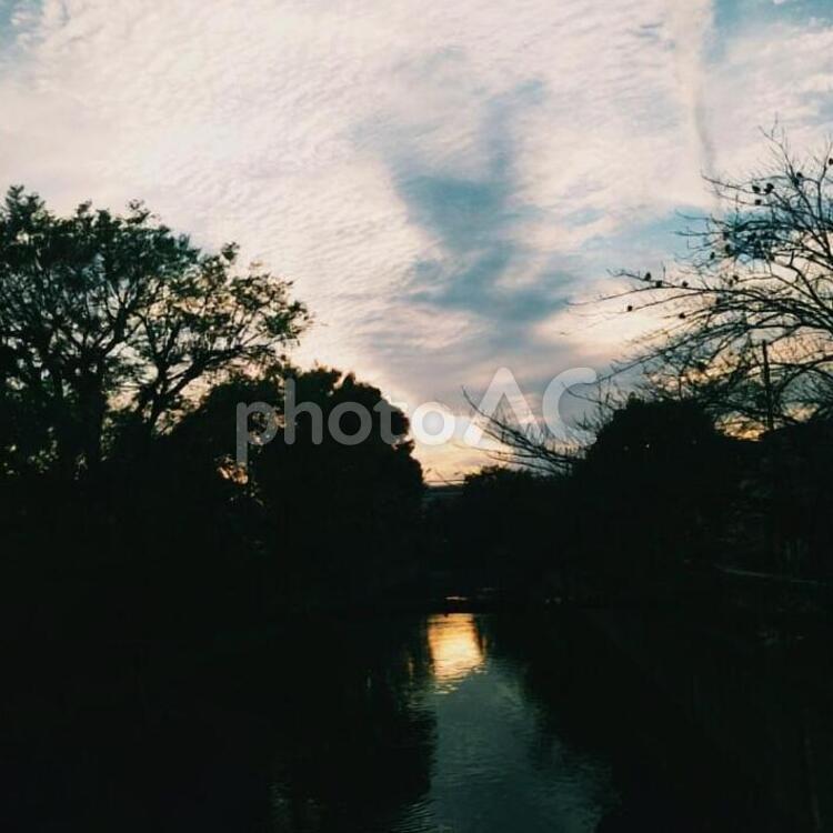 夕暮れ 木,川,反射の写真素材
