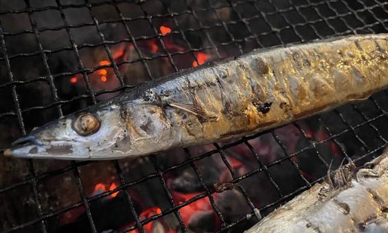 秋の味覚 秋刀魚,サンマ,秋の味覚の写真素材