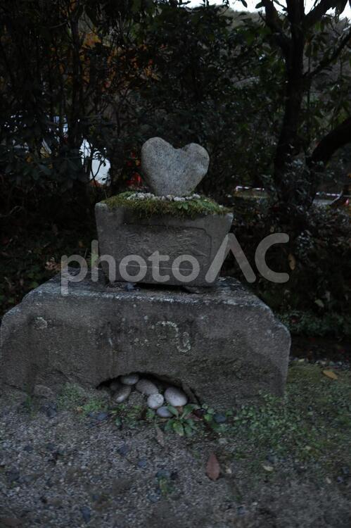 御岩神社　参道のハート石 御岩神社,ハート,石の写真素材