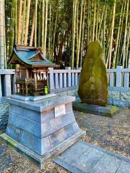 八幡の藪知らず 八幡の藪知らず 八幡の藪知らず,千葉,竹の写真素材