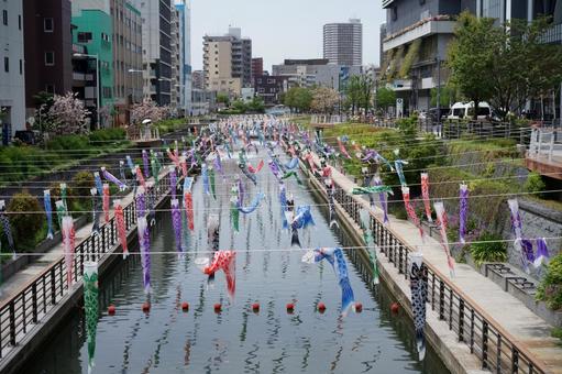 川に泳ぐ鯉のぼり 川に泳ぐ鯉のぼり 風景,川,日本の写真素材
