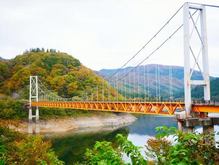 紅葉の箱ヶ瀬橋（夢の架け橋）｜九頭竜ダム 九頭竜ダム,九頭竜湖,紅葉の写真素材