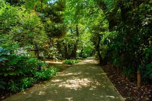 【東京】上野国立博物館 2025 【東京】上野国立博物館 2025の写真