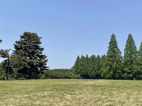 公園と青空 公園と青空の写真