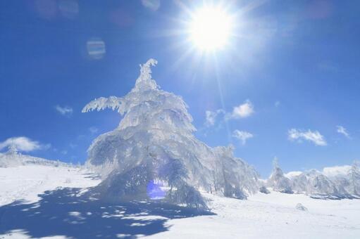 青空の樹氷　根子岳での雪景色 根子岳,冬,樹氷の写真素材