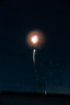 夜空に咲く大輪の花火 花火,打ち上げ花火,夜空の写真素材