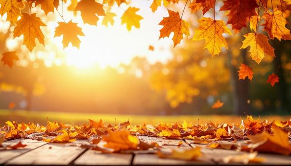 秋のイメージの背景画像 紅葉 野原 秋のイメージの背景画像 紅葉 野原の写真