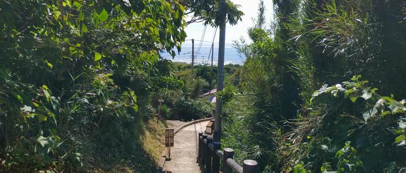 夏の景色 夏の景色の写真