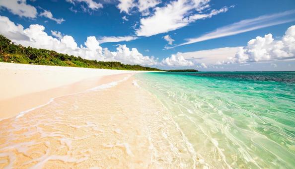 長い砂浜 長い砂浜の写真