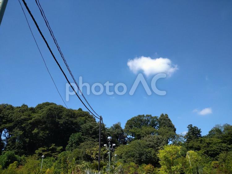 空と木々 青空,雲,木々の写真素材