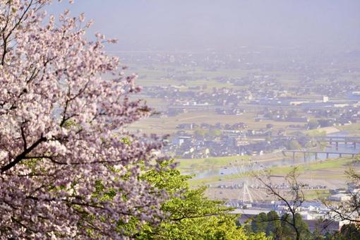 桜と街 桜と街の写真