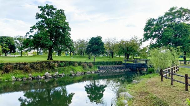 ひょうたん島公園の夏風景 ひょうたん島公園の夏風景 ひょうたん島公園,佐賀市,兵庫町の写真素材