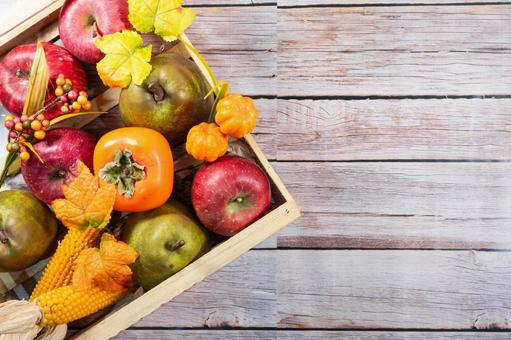 秋の味覚ディスプレイ　洋ナシ・リンゴ・柿 果実,林檎,りんごの写真素材