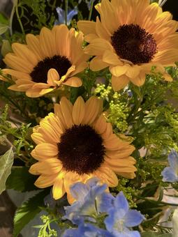 夏の花のフラワーアレンジメント 夏の花のフラワーアレンジメント フラワーアレンジメント,花,夏の写真素材