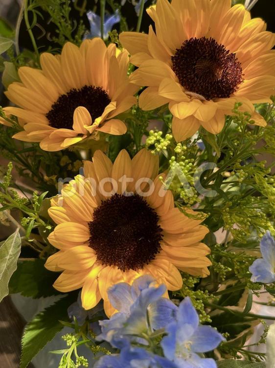 夏の花のフラワーアレンジメント フラワーアレンジメント,花,夏の写真素材