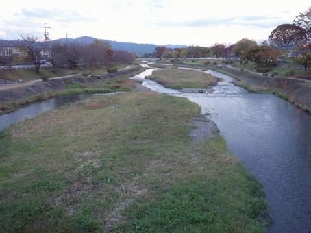 照片, 鴨川, 京都, 晚報, 