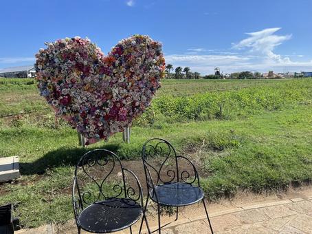 綺麗な花のアートとチェア 綺麗な花のアートとチェア お花のアート,チェア,おしゃれの写真素材