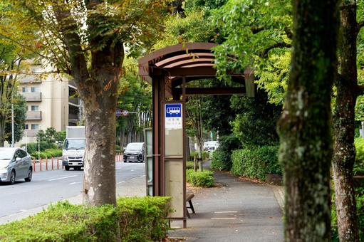 バス停 バス停,風景,市営バスの写真素材