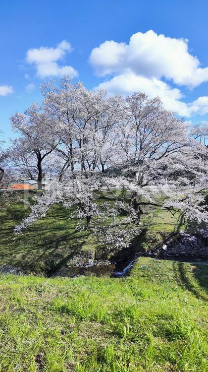 霞間ヶ渓の自然は、あなたの心を包み込む 霞間ヶ渓,かまがたに,岐阜県の写真素材