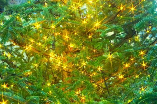 輝く電飾 輝く電飾 輝き,電飾,クリスマスの写真素材
