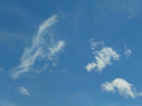 Photo, sky, cloud, summer, 