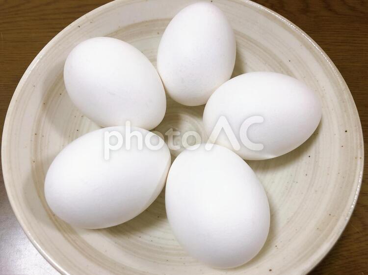 ゆでたまご 卵,朝食,フードの写真素材
