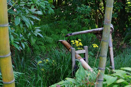 森の中の鹿威し 森の中の鹿威し ししおどし,鹿威し,森の写真素材