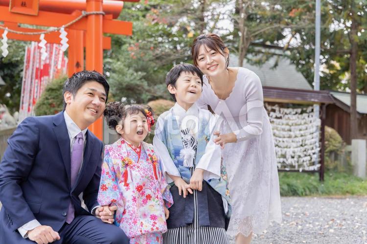七五三　家族 七五三,家族,晴れ着の写真素材