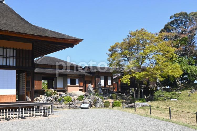 滋賀県彦根城 楽々園の御書院と地震の間 彦根城,楽々園,地震の間の写真素材