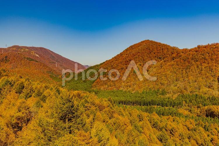 新潟県　苗場ドラゴンドラからの秋景色 紅葉,秋,苗場ドラゴンドラの写真素材