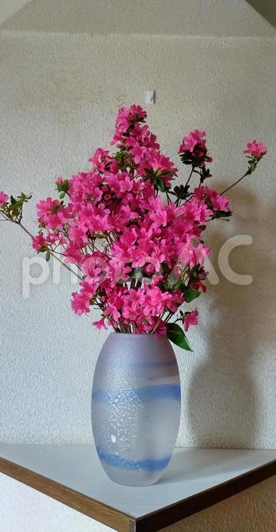 三角コーナーの生け花、つつじ フラワー,かわいい,背景の写真素材