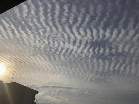 ウロコ雲 ウロコ雲の写真