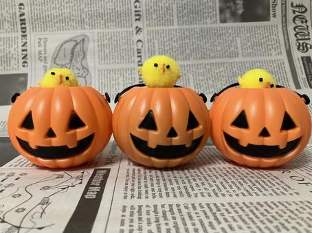 ジャック・オ・ランタンの上に乗るひよこ ジャック・オ・ランタンの上に乗るひよこ ハロウィン,ジャックオーランタン,かぼちゃの写真素材
