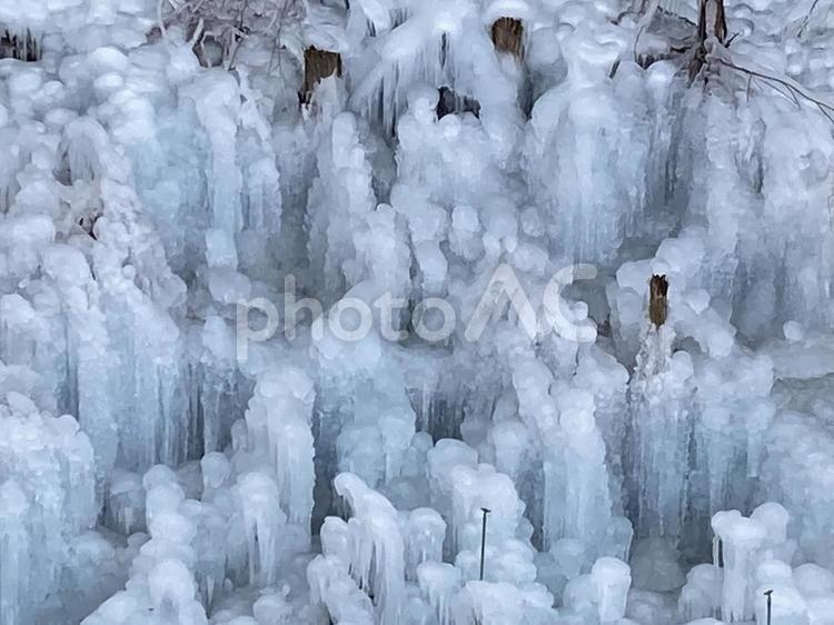 あしがくぼの氷柱 氷柱,冬,寒いの写真素材