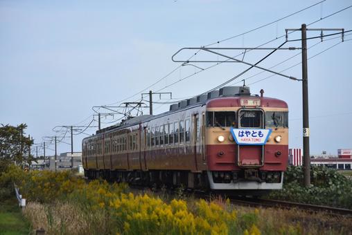 トキ鉄413・455系 はやともHM トキ鉄413・455系 はやともHM えちごトキめき鉄道,413系,455系の写真素材