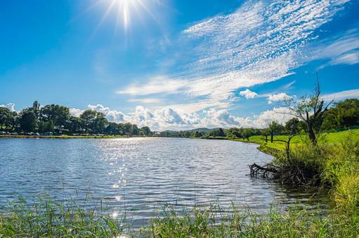 北海道 月形町 皆楽公園の風景 北海道 月形町 皆楽公園の風景 北海道,月形,月形町の写真素材