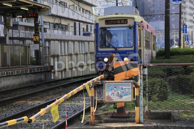 『踏切』と『都電』と『学習院下駅』 電車,都電,学習院下駅の写真素材